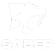 Saber Interactive